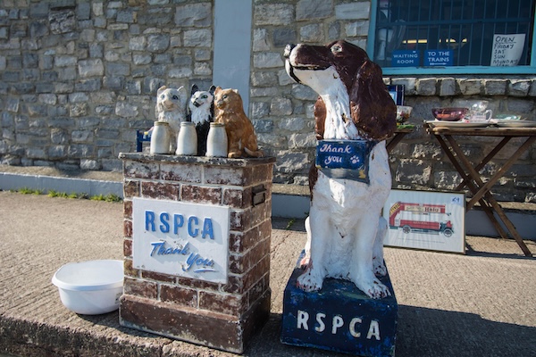An RSPCA donation box with animals on it outside a shop